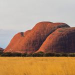 Olga Zarichna profile photo